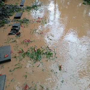 tempestade de verão 