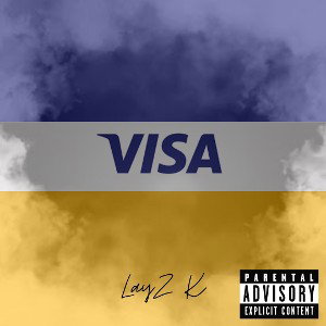 VISA SWIPER