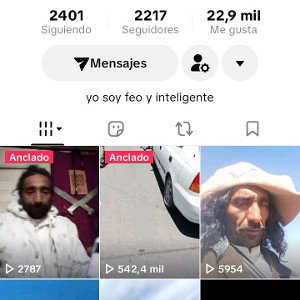 ay esta el currículo que ustedes anelan 