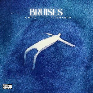 BRUISES  |  (official audio)