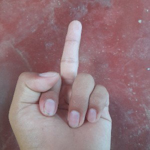 simili canser & leo