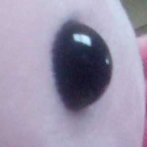 pet