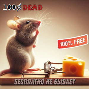 King Lich 👑- Бесплатно не бывает