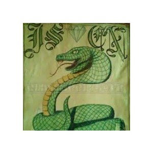VenomSpittingCobra