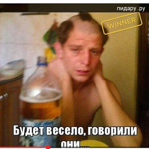 снуби сасуби парасёнок