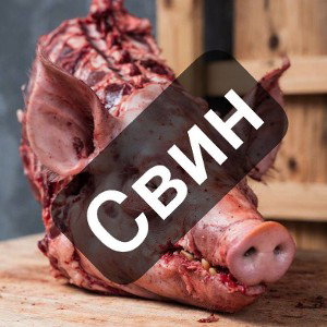 жирный ебанат
