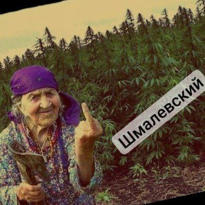 речь НЕ О том....