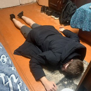 шавка