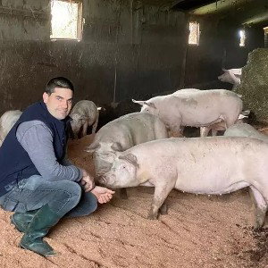 Gros Cochon