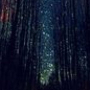 dreamland 