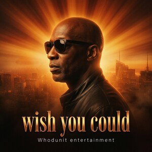 wish you could 