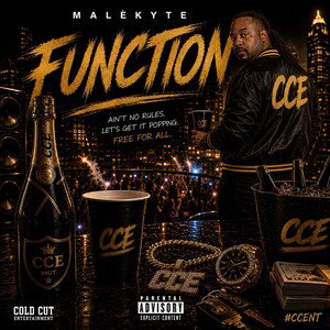 Function