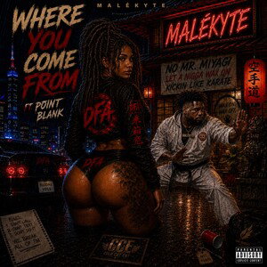 Where You Come From — Ft PointBlank