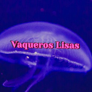 Adrian-VAQUEROS LISAS|Publicando lo Que después de Bonito