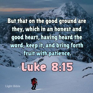 Bless The Lord👑