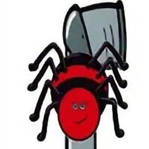 Foolish Spider 