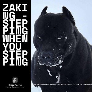 ZaKinG - Stepping When You Stepping