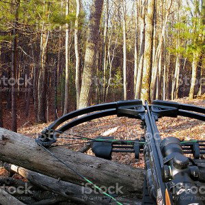 stock up on weapons 