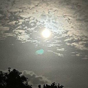 Blowing Cloudz