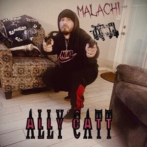 Ally Catt