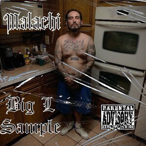 Big L Sample