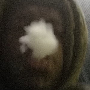 still that b**** freestyle