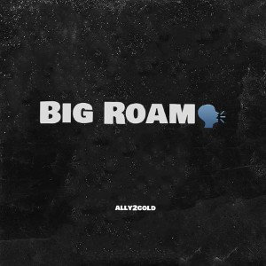 Big roam🗣️
