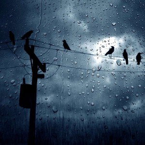Walk on Cold Nights(feat.Tom@m & Roy5)