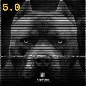 5.0