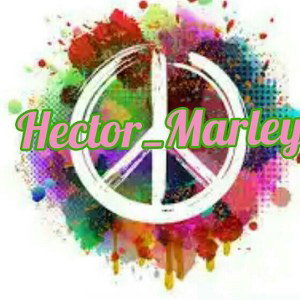 Hector Marley - Spaceship trap