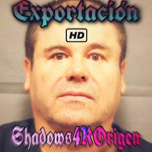 Exportación. (Roleplay Rap GTA V Online).