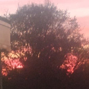 Nature of Kin - EyeLoveYourself