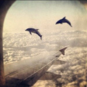 Private Jet