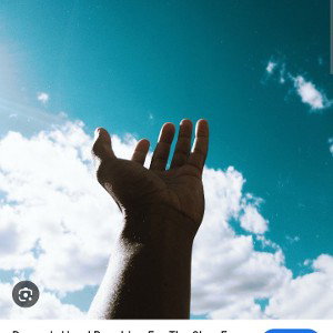 Reaching For The Sky 