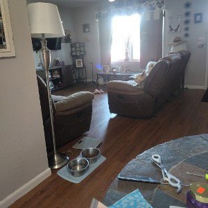 nobody's home