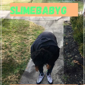 Slatt