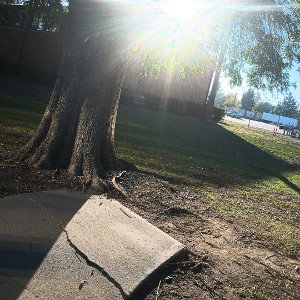 The Most Difficult Paths