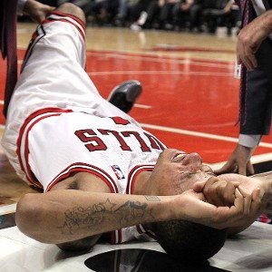 d rose