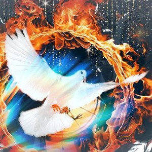  Doves "solo vers"