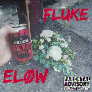 Fluke 