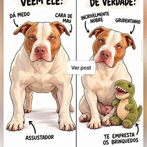 Babaca ninguém não  é 