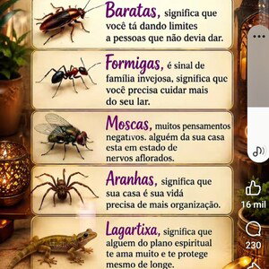 Covardia 