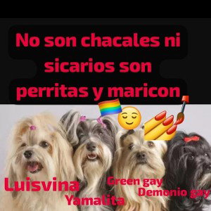 advertencia pa las perras 