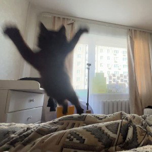 Я вернулся 