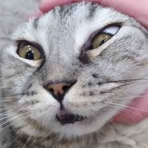 все что я хочу