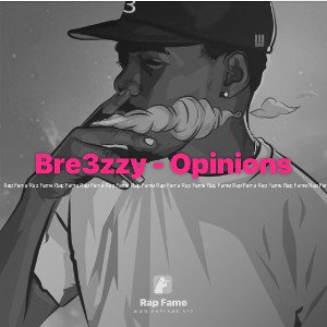 Bre3zzy - Opinions