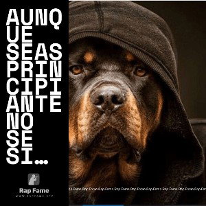 aunque seas principiante no se significa que no puedes superar tus límites