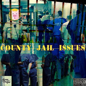 COUNTY JAIL ISSUES