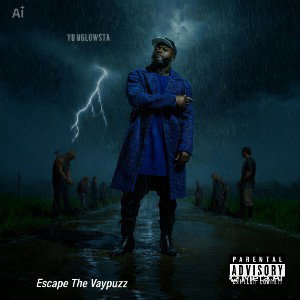 Escape The Vaypuzz