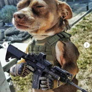 Unknown Motherfucker 